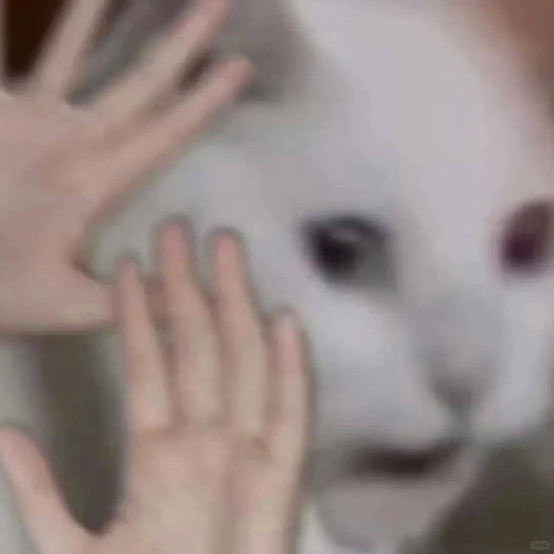 传闻新的LOL名人堂皮肤为Uzi卡莎;《影之刃 零》制作人被聘为客座教授