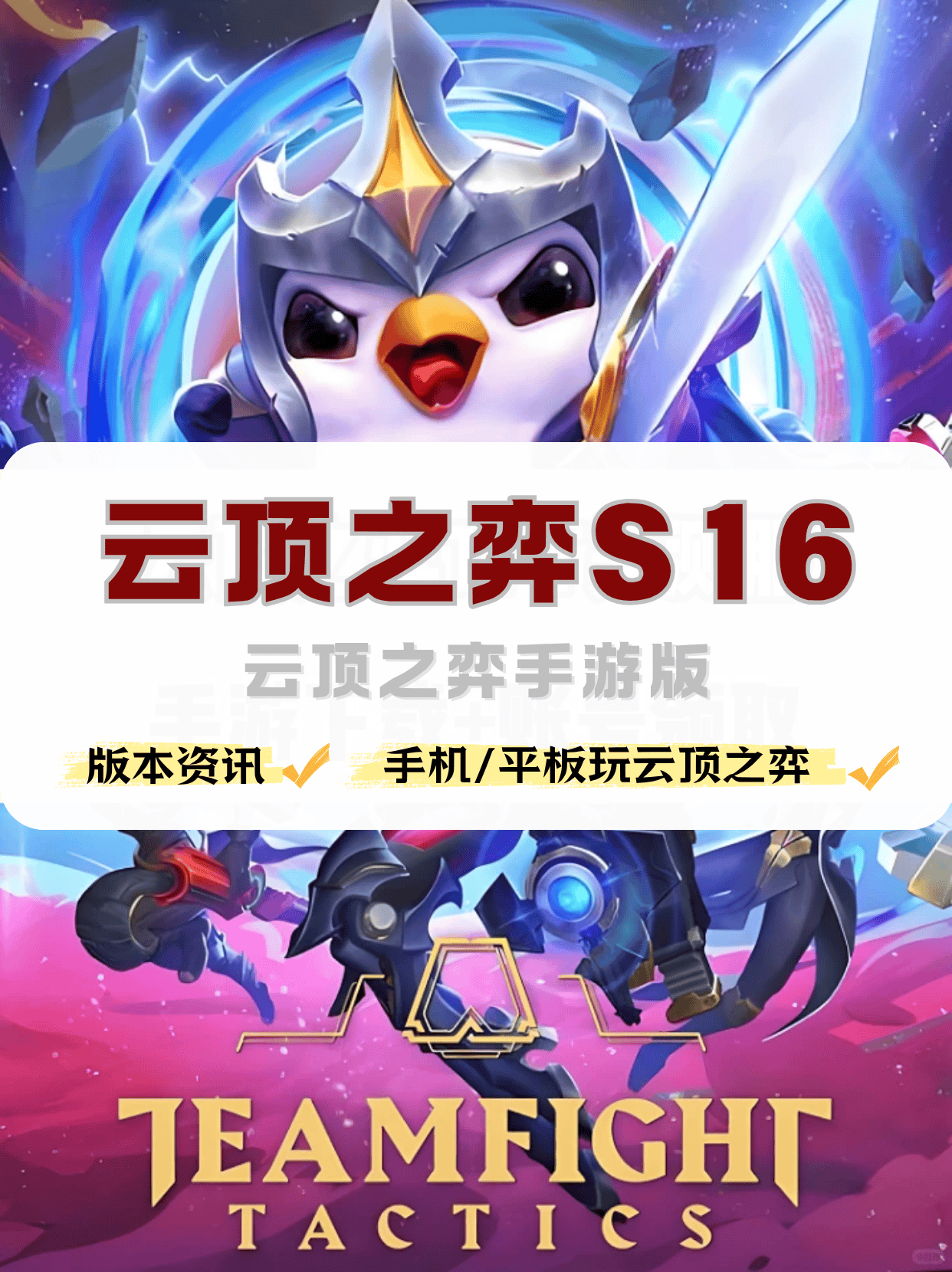 篮球频道